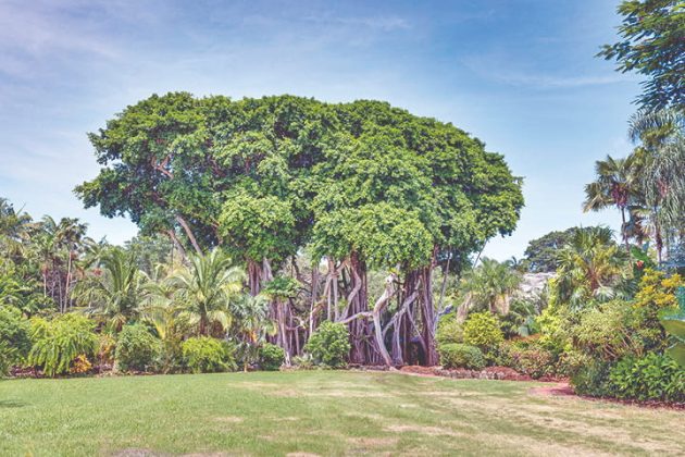 The Purpose of Public Gardens: A Vision of the Future
