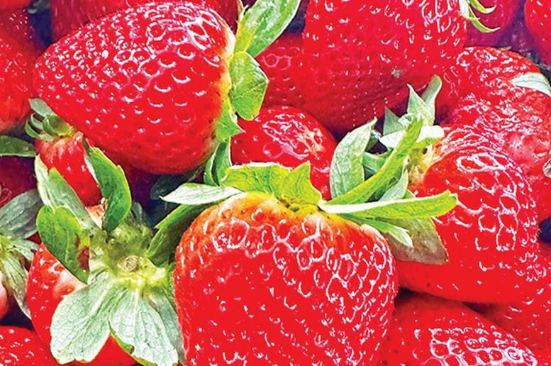 The Berry Farm celebrating annual Strawberry Festival