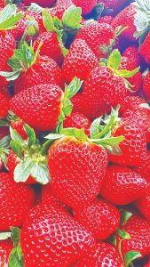 The Berry Farm celebrating annual Strawberry Festival