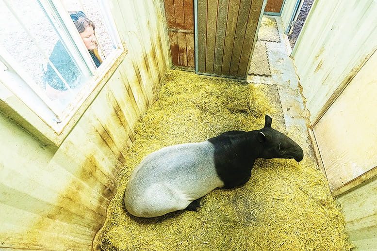 Zoo Miami made preparations for recent cold temperatures