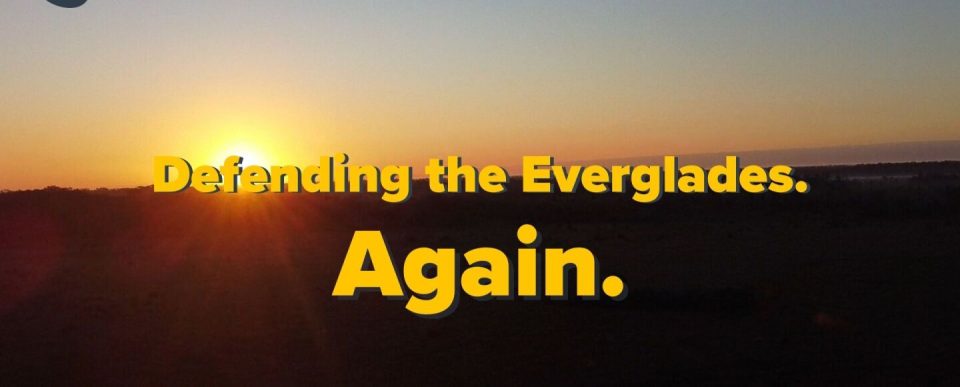 Sunrise in the background with words saying Defending the Everglades. Again. 