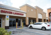 Will Florida’s new English-only policy for drivers license exams make roads safer? What we found