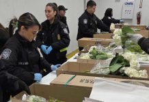 Valentine flower imports increase at Miami airport, despite tariffs and higher costs, officials say