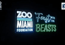 Feast with the Beasts Where the Flavors Are Bold and the Night Is Untamed