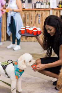 5th annual Paws Patio Food Fest returns to Intercontinental Miami