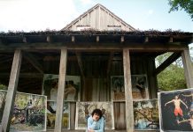 Deering Estate Artist-in-Residence Spotlight: Josh Aronson