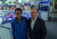 FIU Alzheimer’s breakthrough advances to national finals of science competition ‘STAT Madness’
